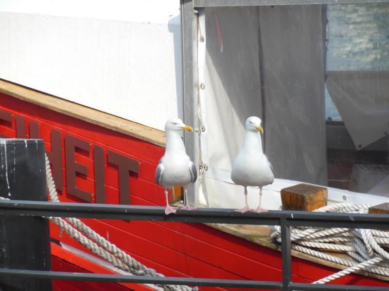 Hotel Am Alten Strom Rostock Zewnętrze zdjęcie